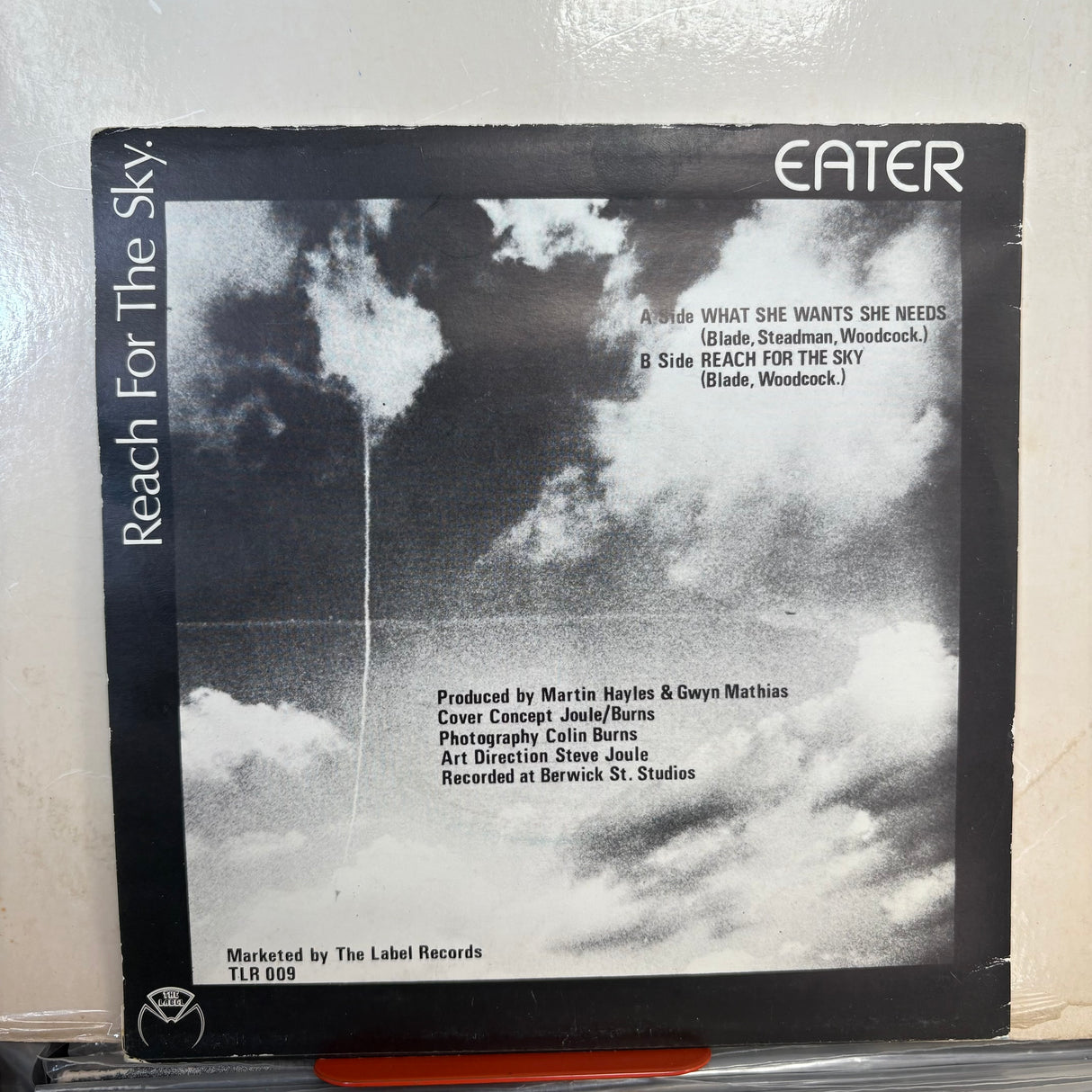Eater - What’s She Wants She Needs Promo Vinyl