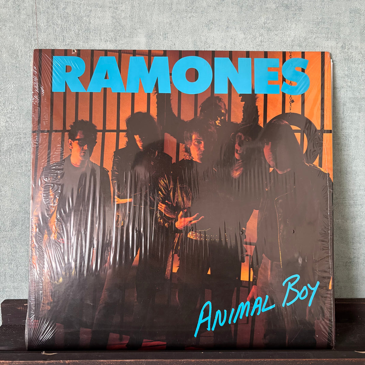 Ramones - Animal Boy - VINYL