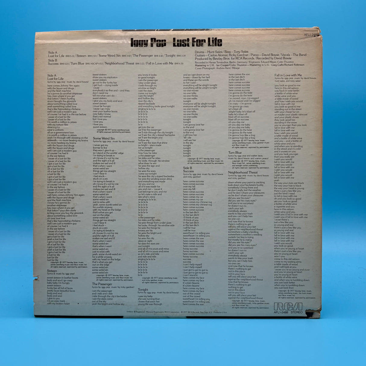 Iggy Pop - Lust For Life Vinyl