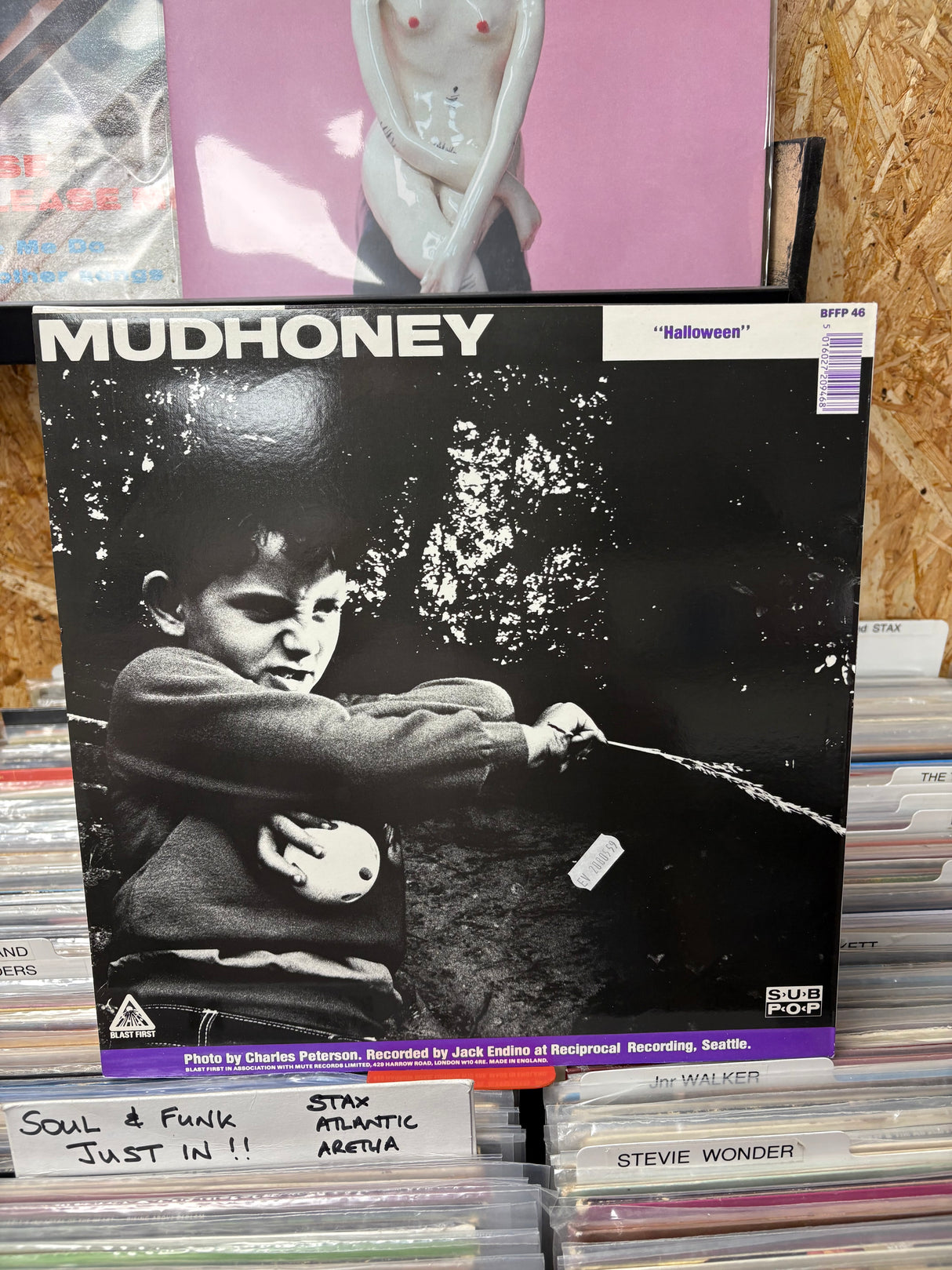 Sonic Youth/Mudhoney - "Touch Me in Sick" + "Halloween" - VINYL