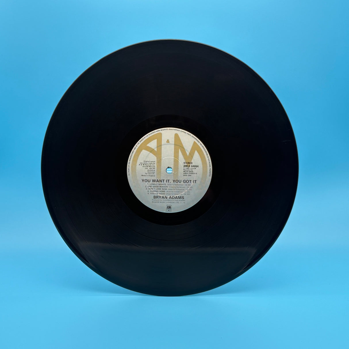 Bryan Adams - You Want It You Got It Vinyl