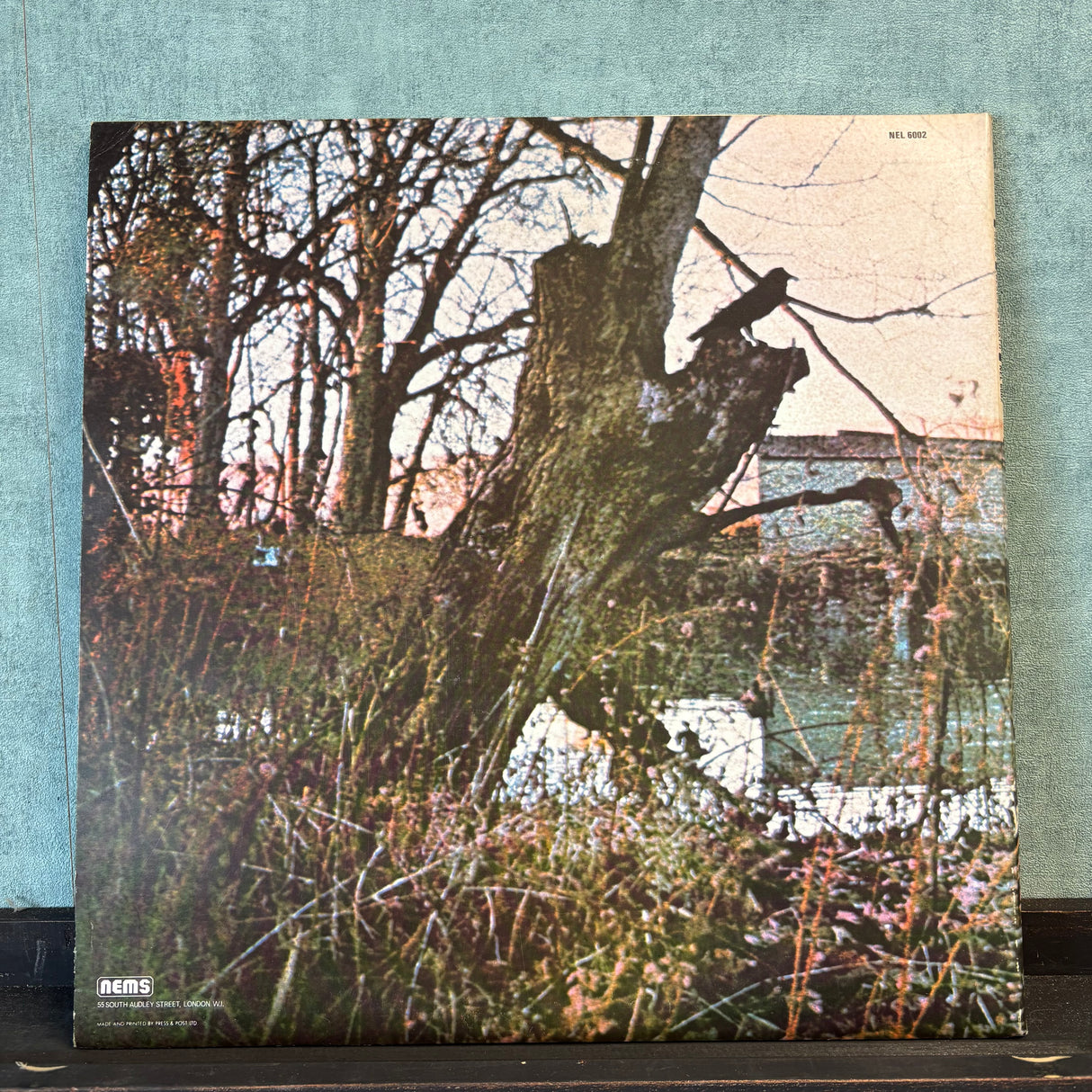 Black Sabbath - Black Sabbath - NEMS - VINYL