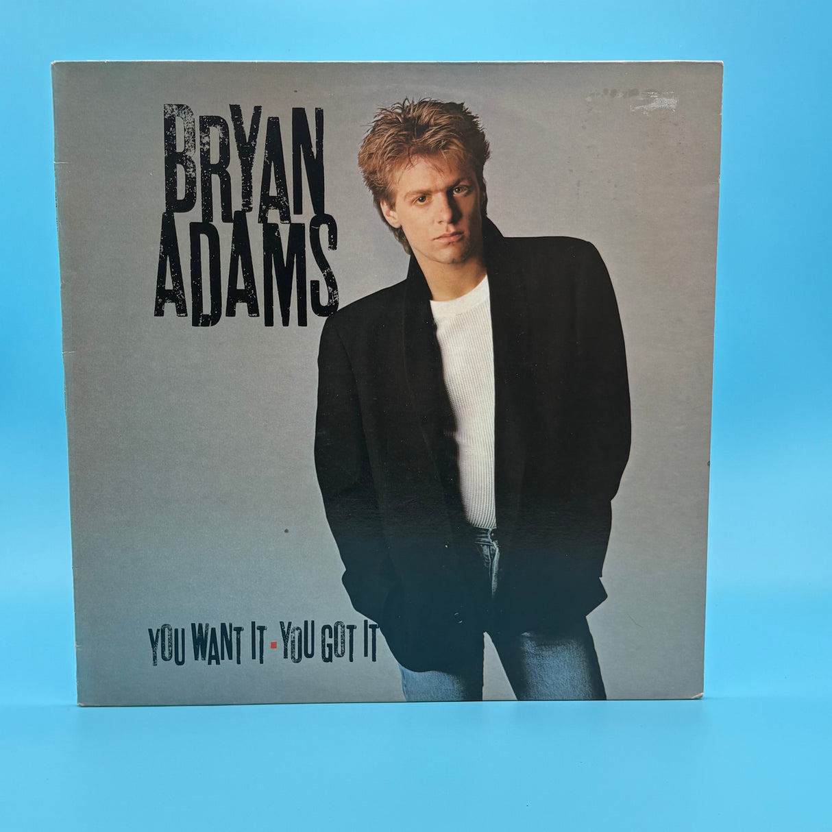 Bryan Adams - You Want It You Got It Vinyl