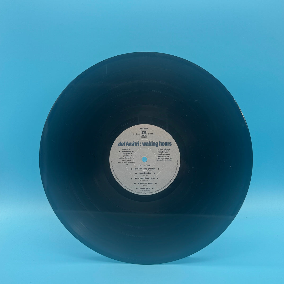 Del Amitri - Waking Hours Vinyl