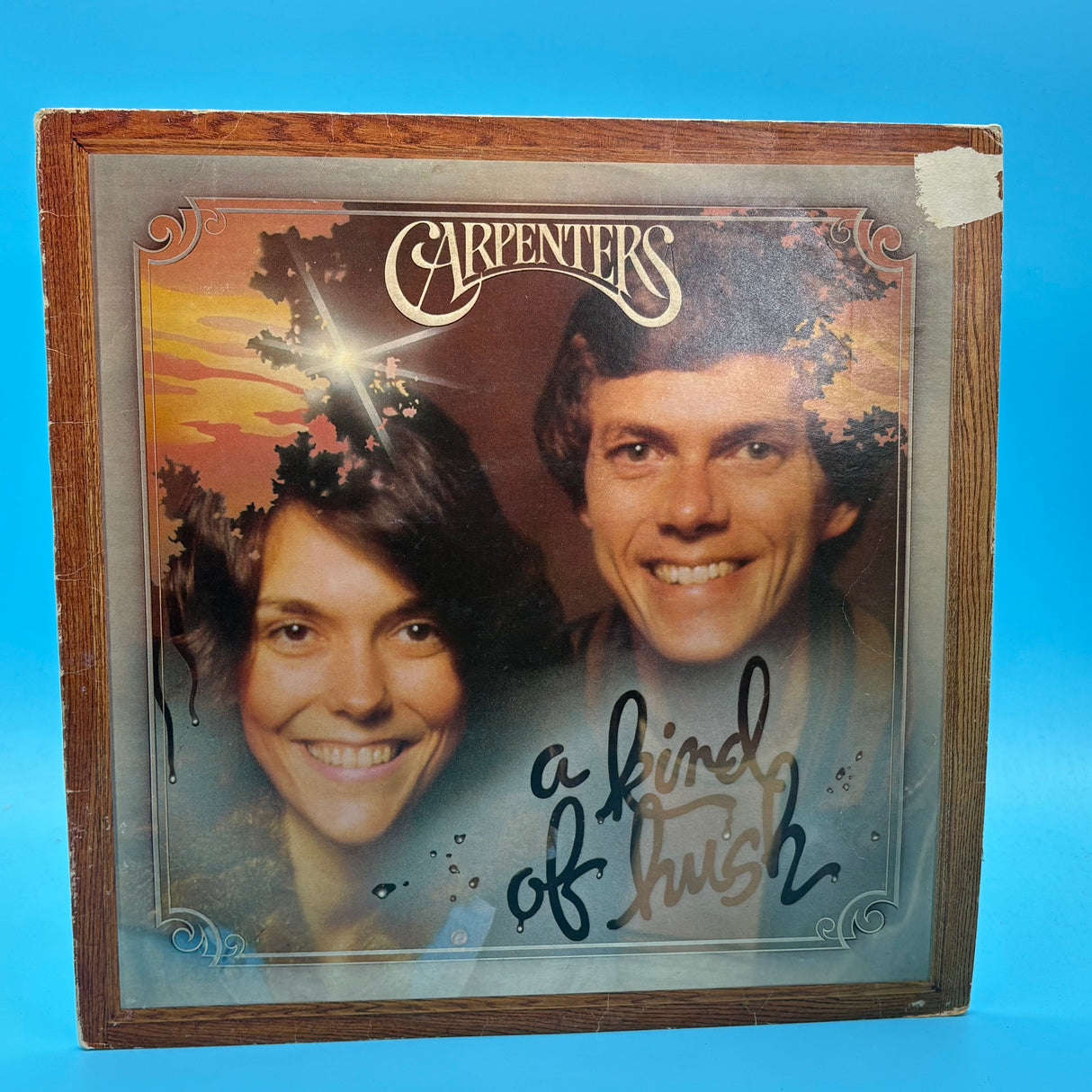 Carpenters - A Kind Of Hush Vinyl