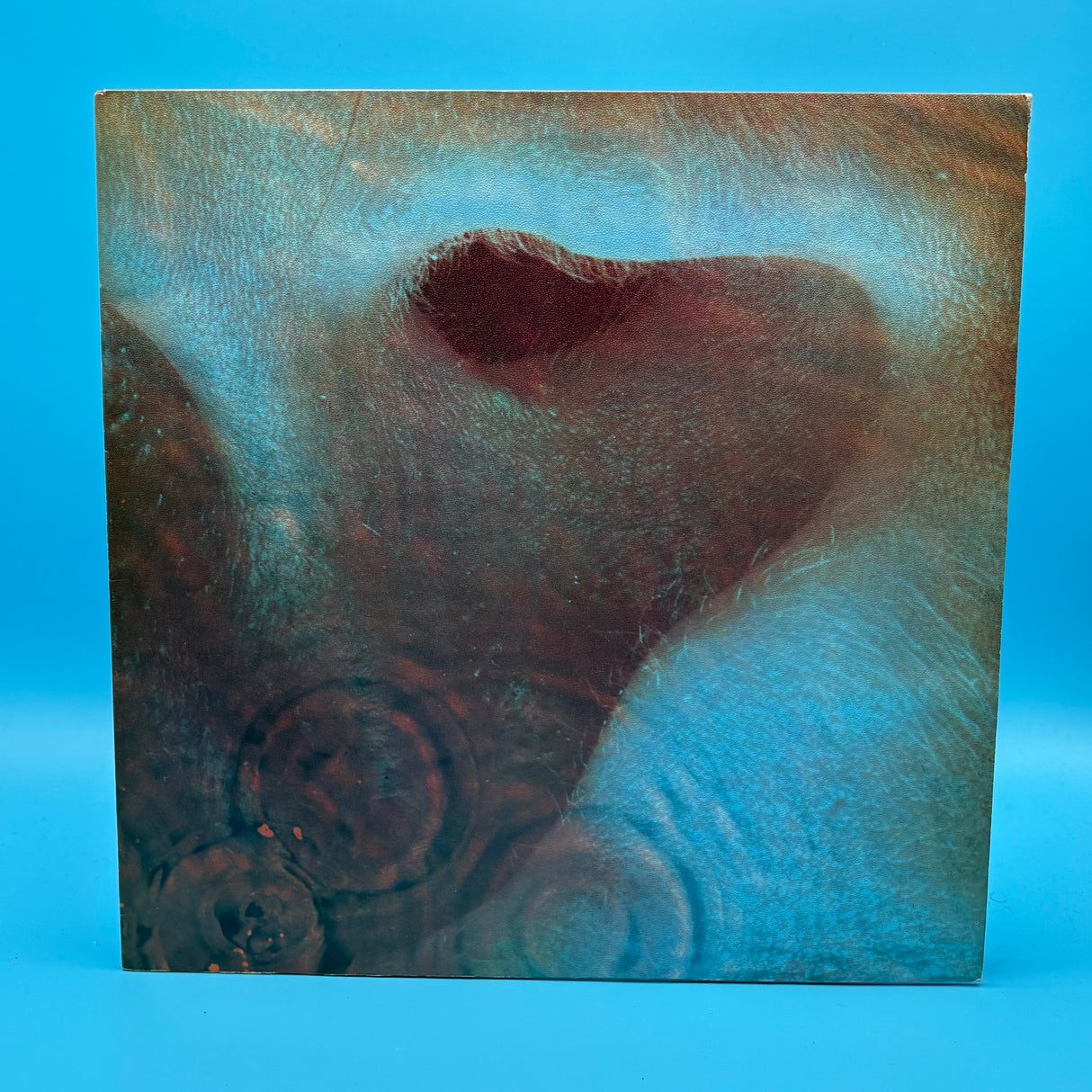 Pink Floyd - Meddle Textured Sleeve Vinyl