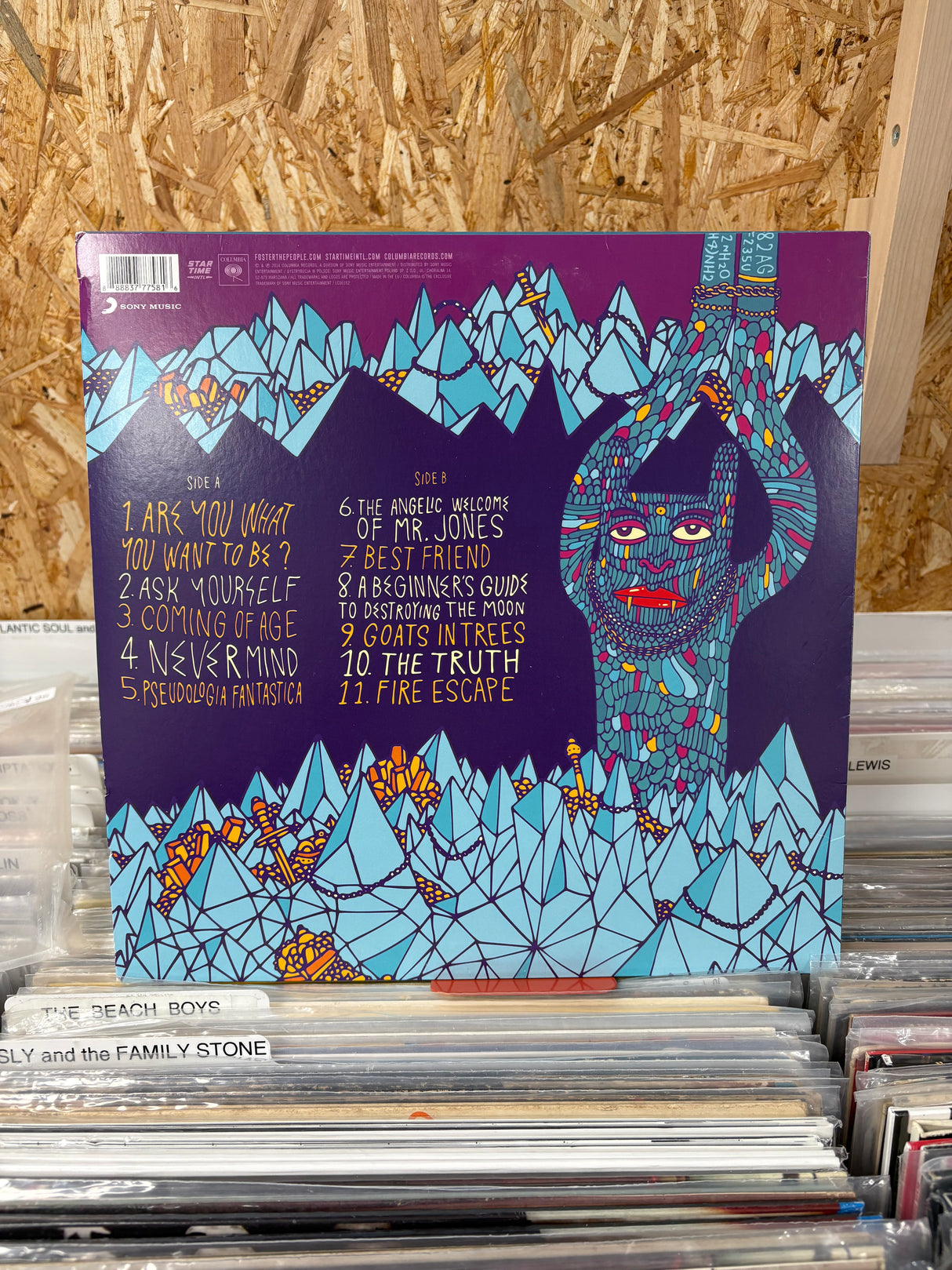 Foster the People - Supermodel - VINYL