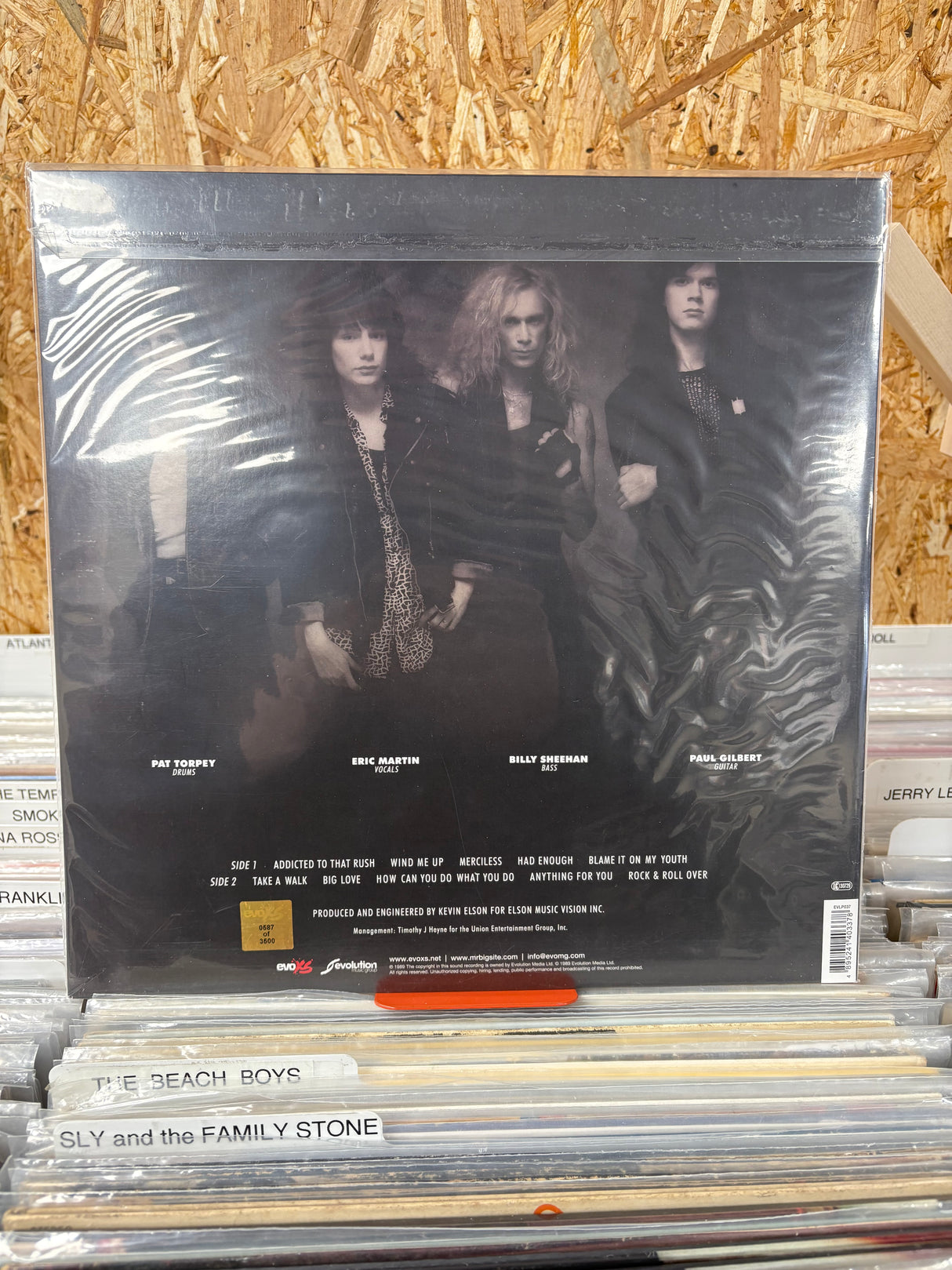 Mr Big - Mr Big Blue Vinyl - VINYL