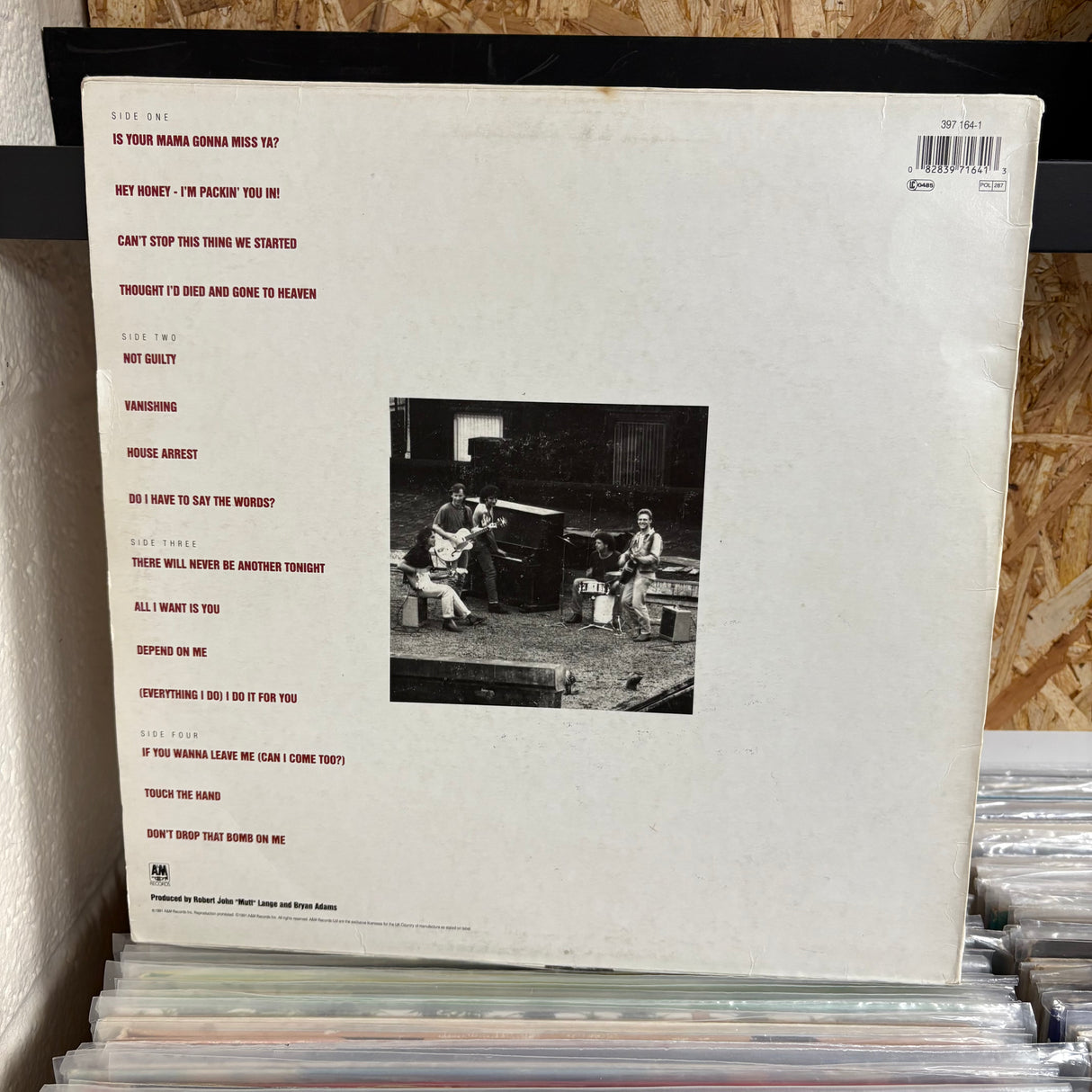 Bryan Adams - Waking up the Neighbours - VINYL