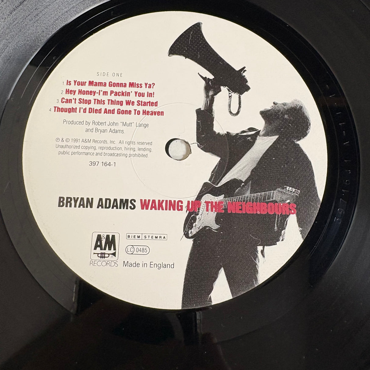 Bryan Adams - Waking up the Neighbours - VINYL