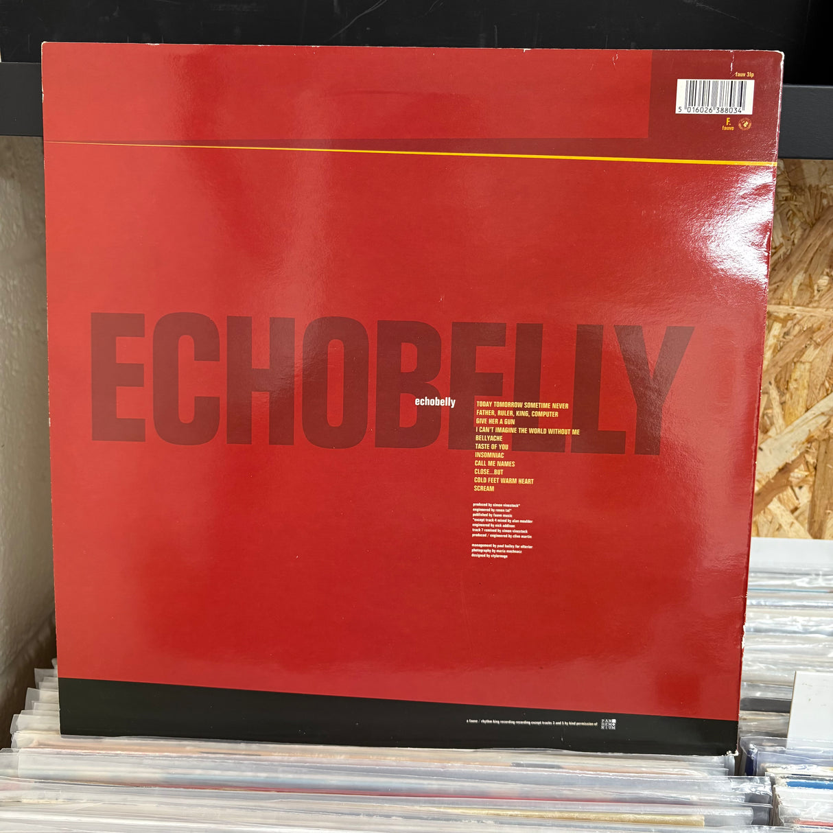 Echobelly - Everyones Got One - VINYL