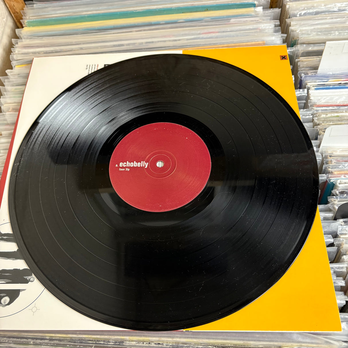 Echobelly - Everyones Got One - VINYL