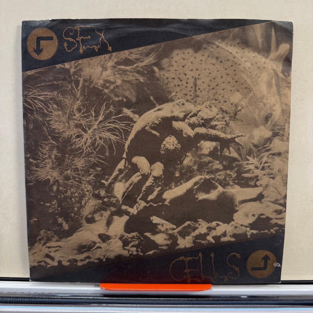 The Table -Sex Cells - 7 Inch Single - VINYL