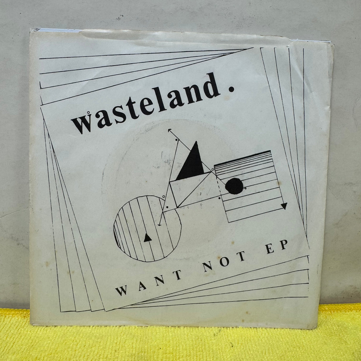 Wasteland - Want Not EP - 7 inch Single - VINYL