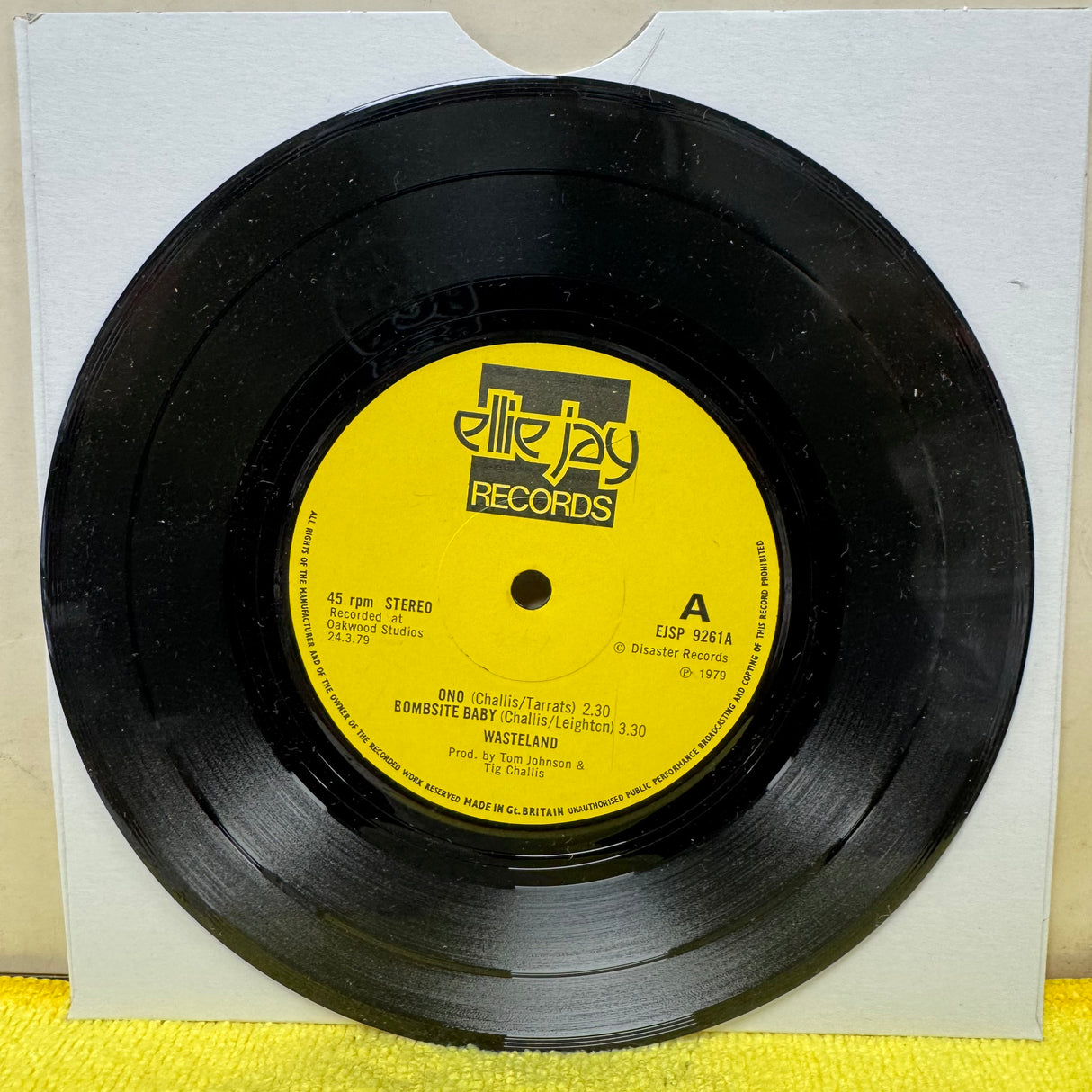 Wasteland - Want Not EP - 7 inch Single - VINYL