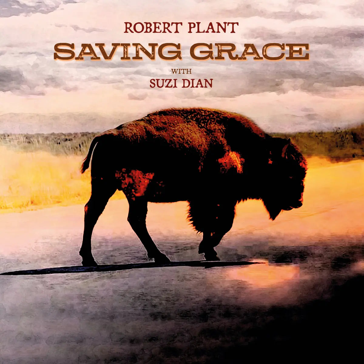 Robert Plant - Saving Grace - VINYL