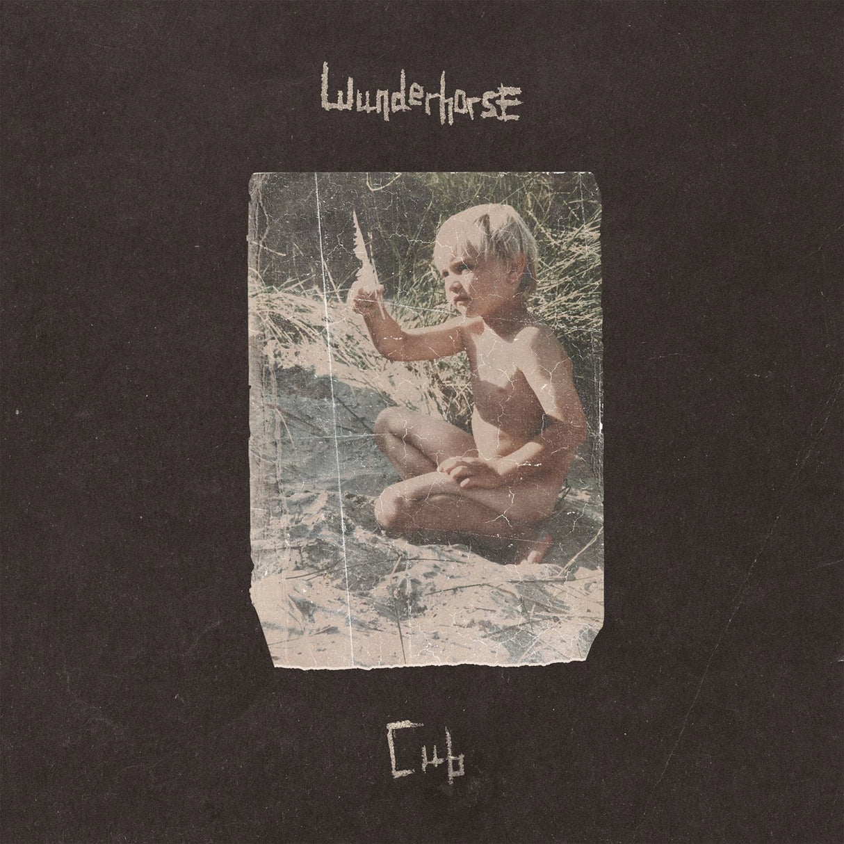 Wunderhorse - Cub - VINYL