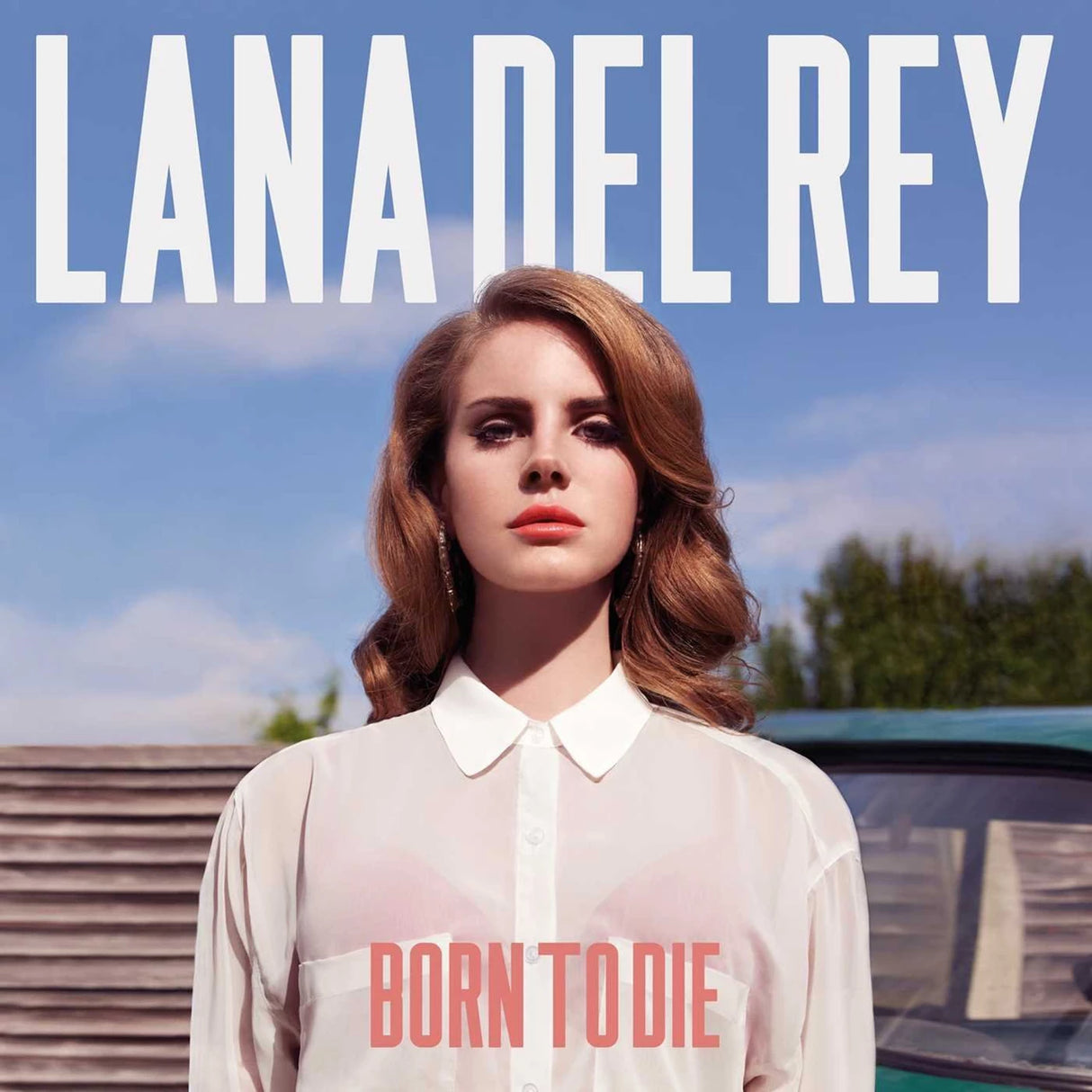 Lana Del Rey - Born to Die - Vinyl