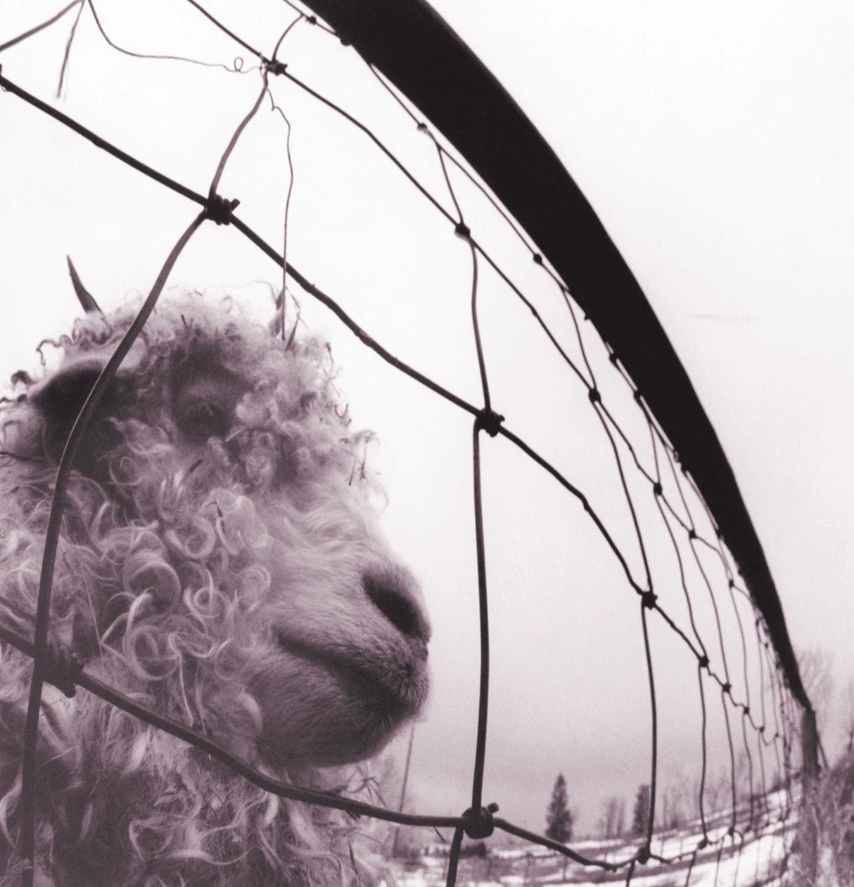 PEARL JAM - VS. VINYL EDITION (REMASTERED) - VINYL