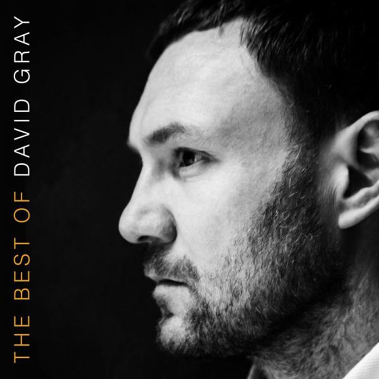 David Gray - The Best of David Gray - Vinyl