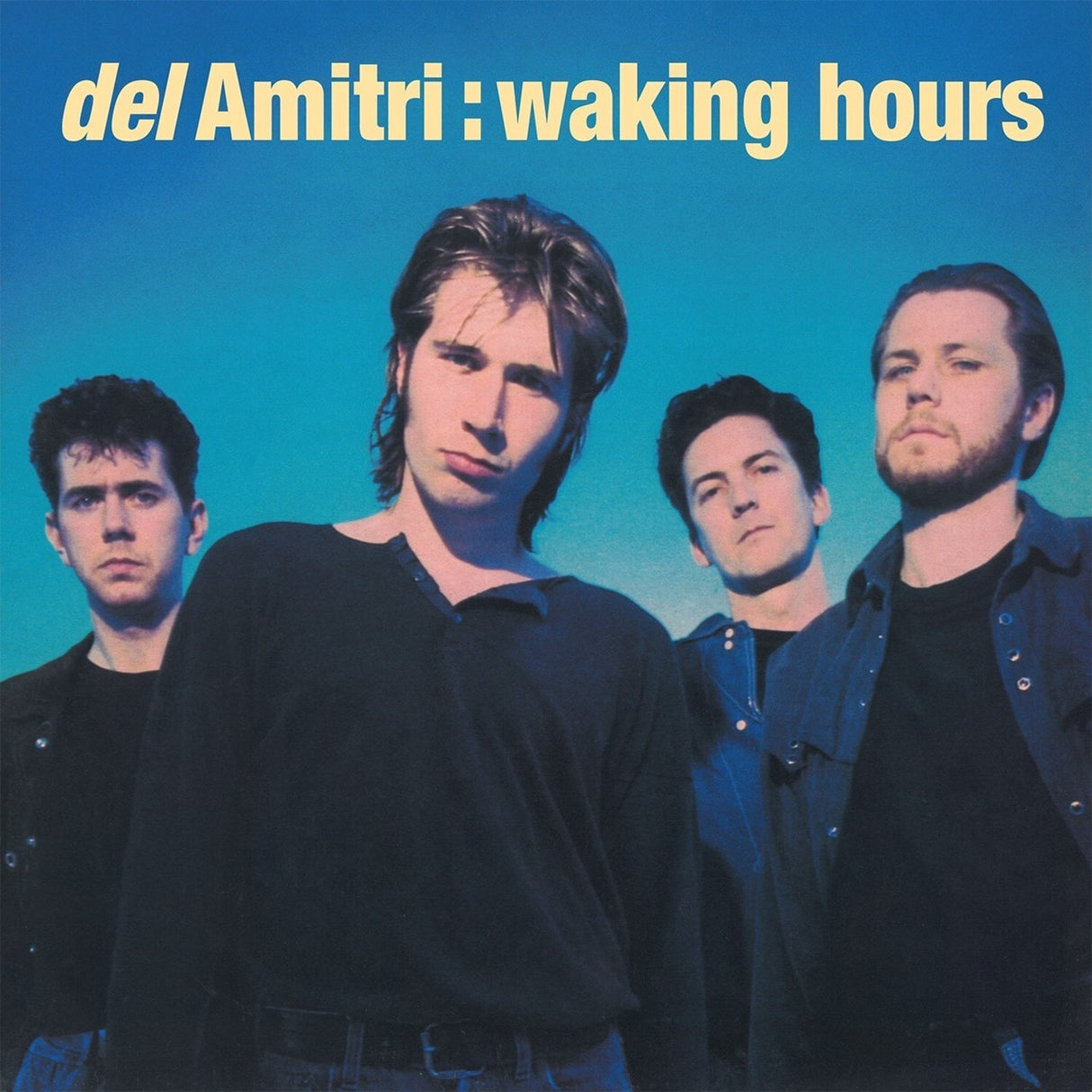 Del Amitri - Waking Hours - Vinyl