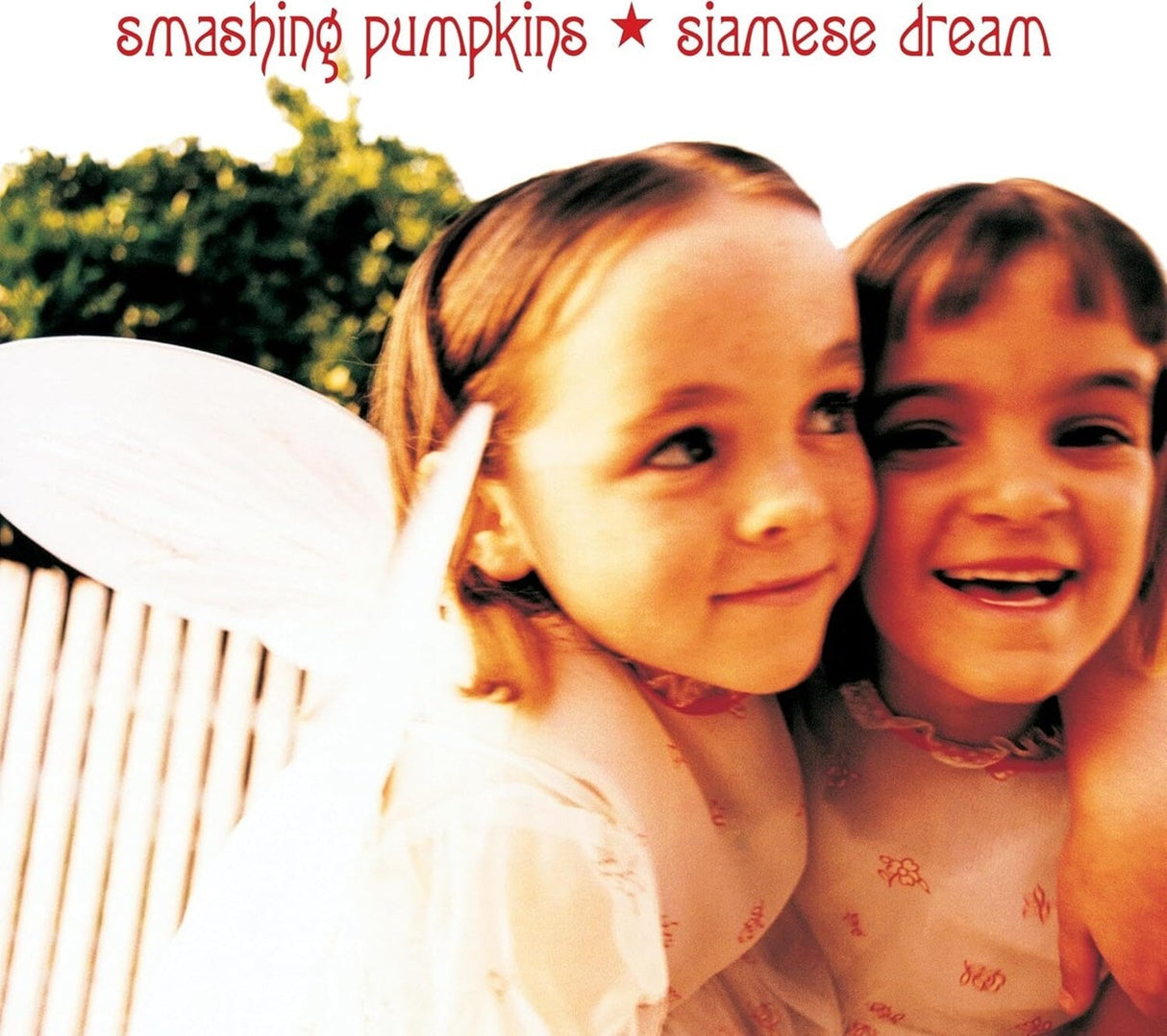 The Smashing Pumpkins - Siamese Dream - VINYL