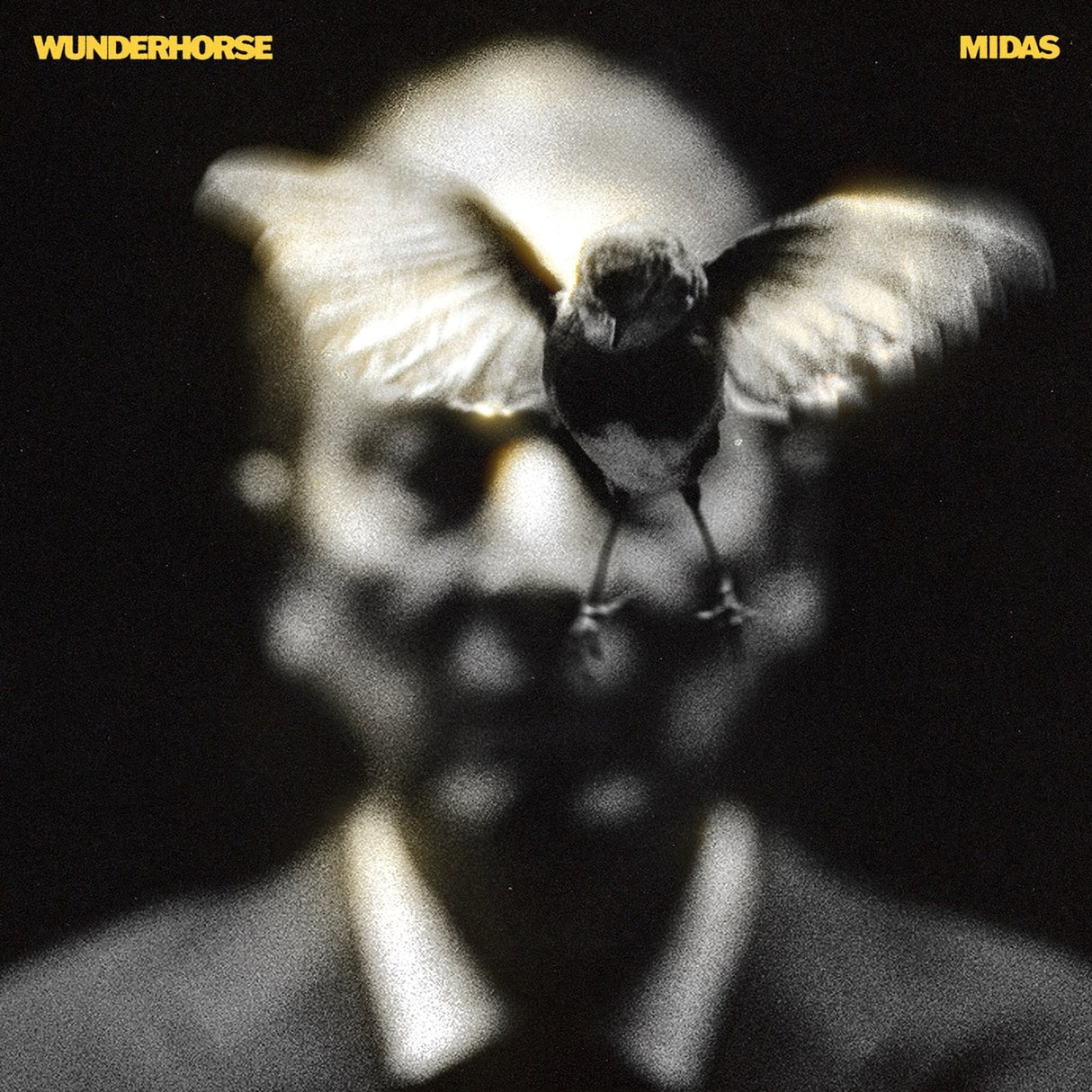 Wunderhorse - Midas - Vinyl