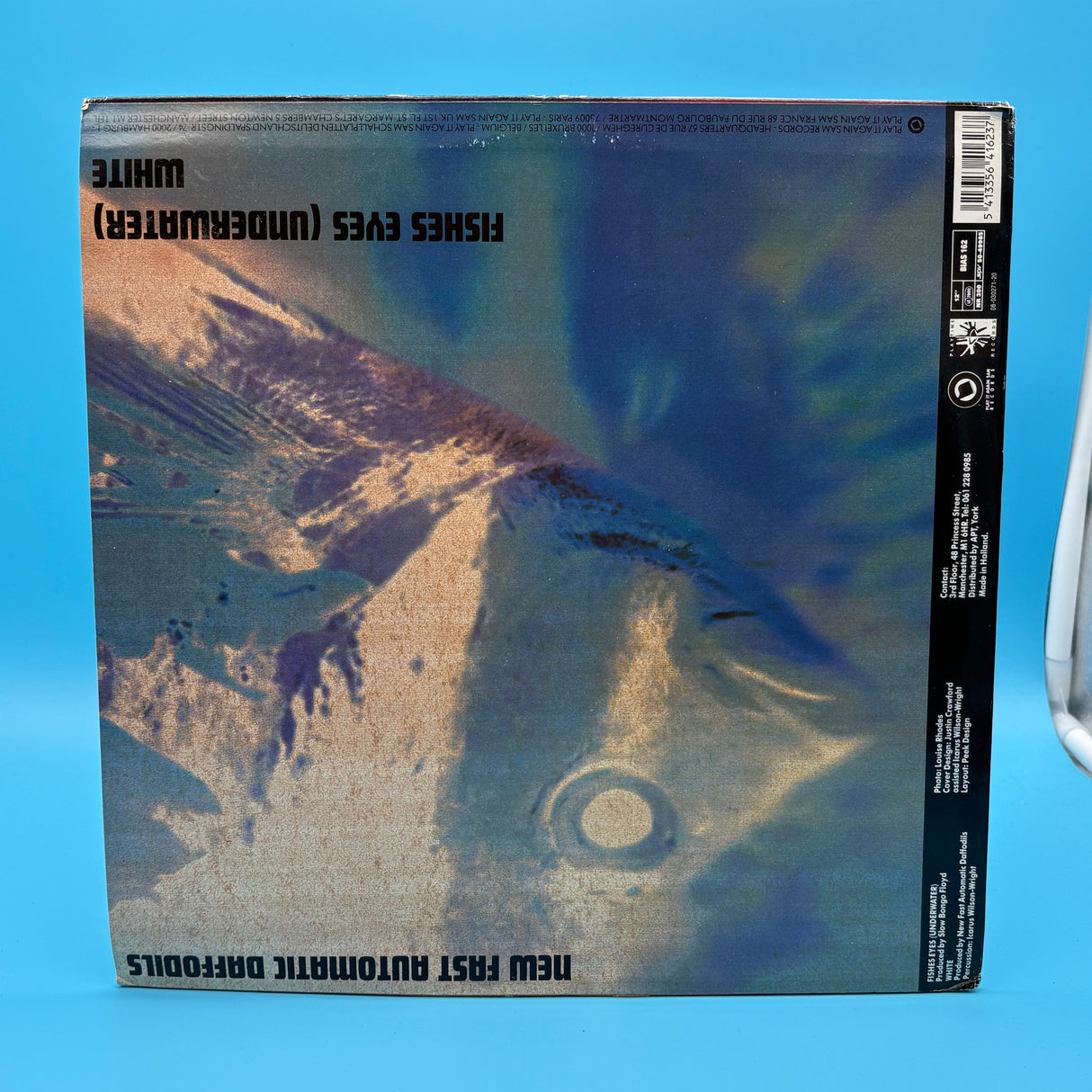 New Fast Automatic Daffodils - Fishes Eyes 12" Single