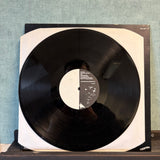 Bim Sherman - Haunting Ground - VINYL