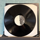 Bim Sherman - Haunting Ground - VINYL