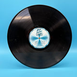 Stevie Wonder - Songs In The Key Of Life Complete Vinyl