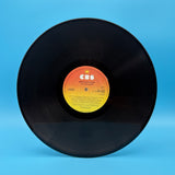 The Only Ones - Baby's Got A Gun Vinyl