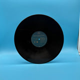 Simply Red - Stars Vinyl
