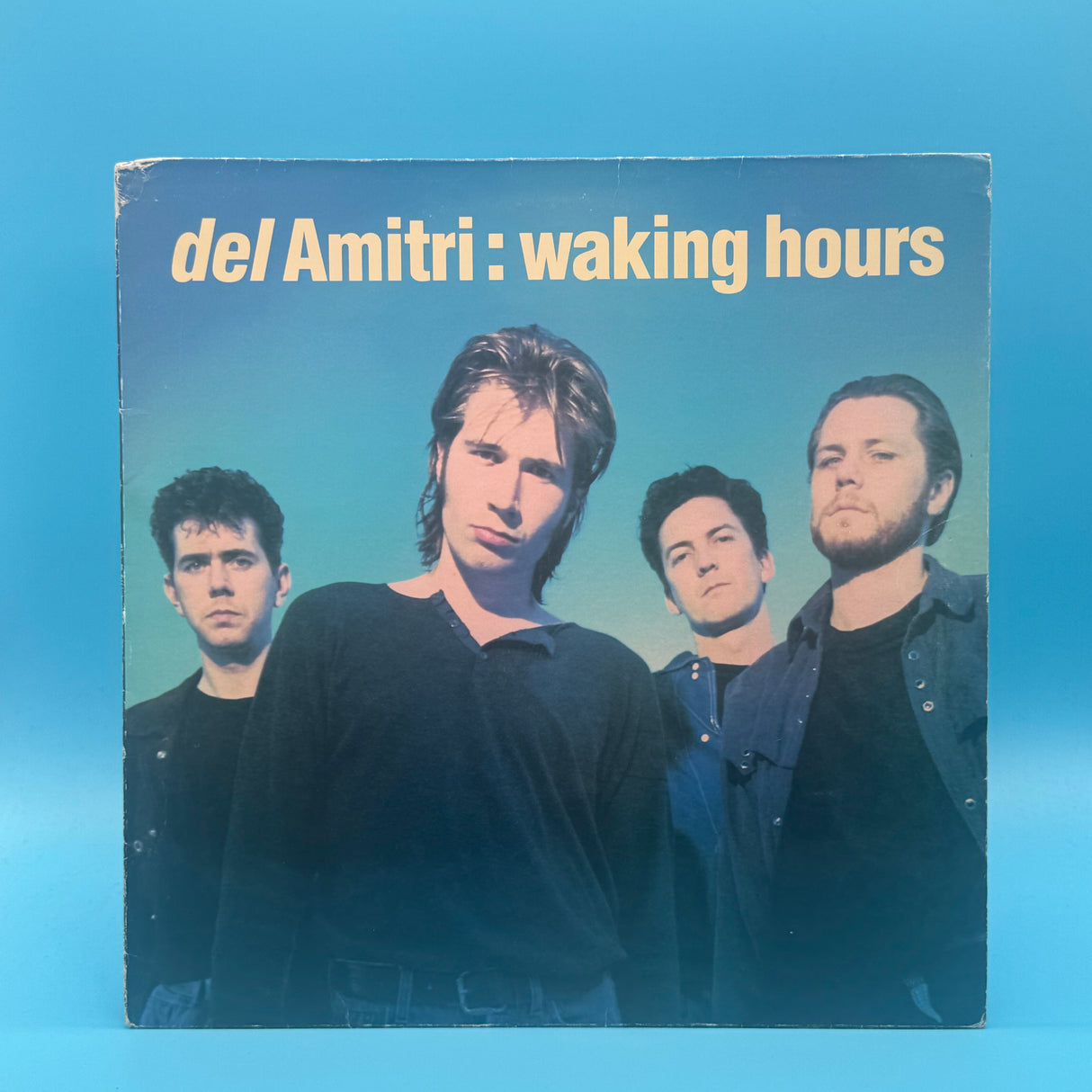Del Amitri - Waking Hours Vinyl