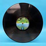 Dire Straits - Dire Straits Debut Album Vinyl