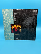 Nirvana - Nevermind 1991 First Press Vinyl
