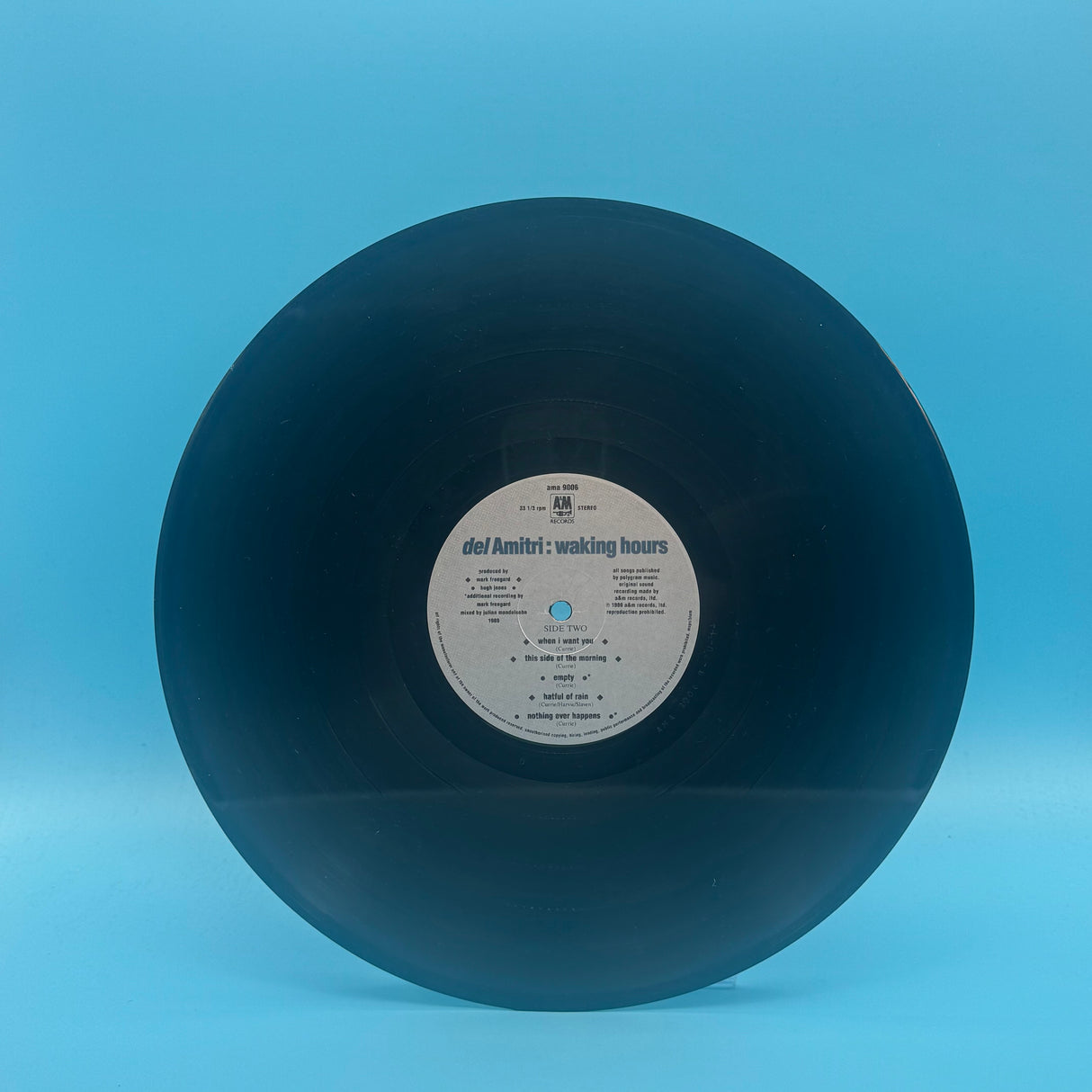 Del Amitri - Waking Hours Vinyl