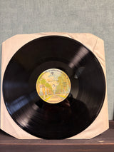 Jesse Colin Young - Love On The Wing - VINYL