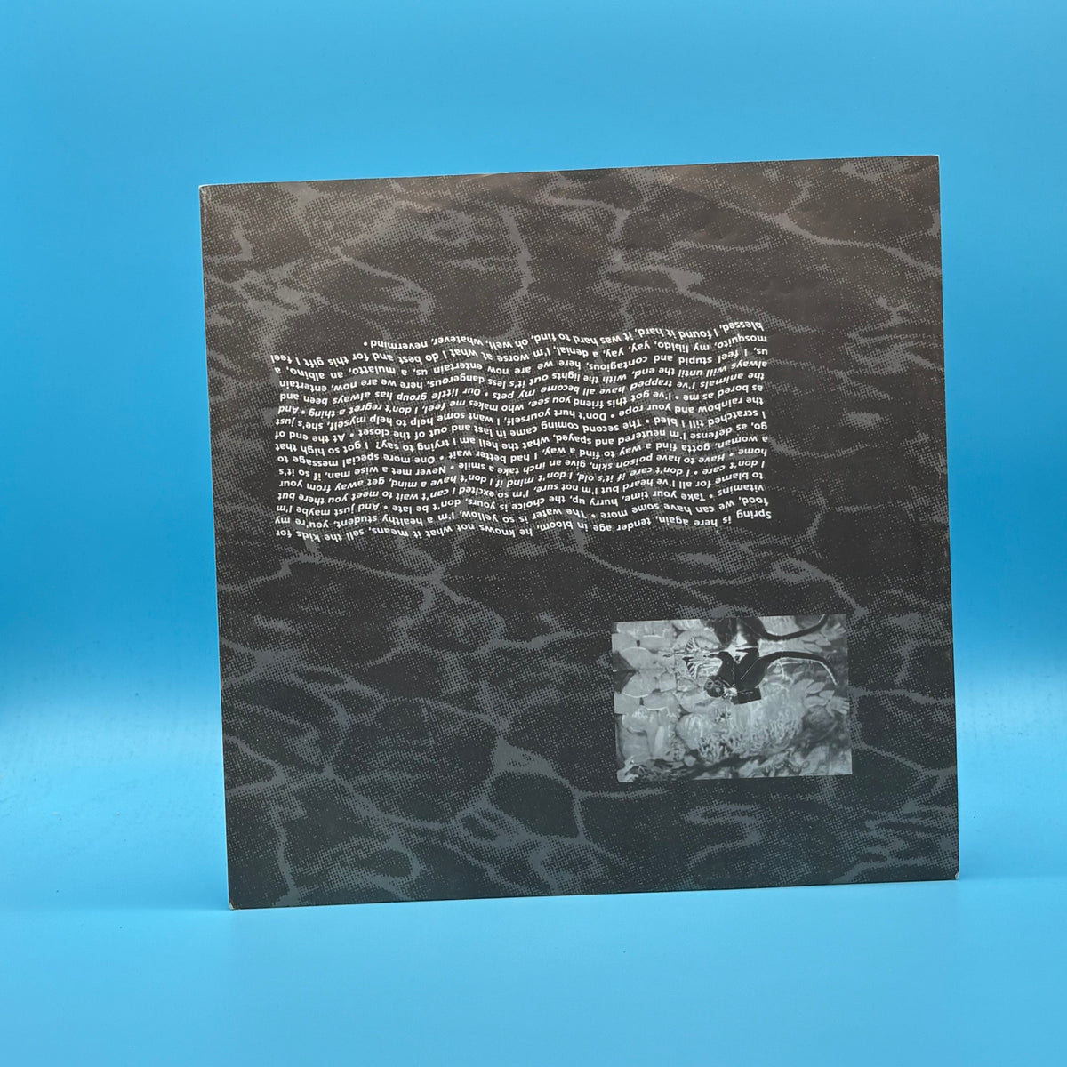 Nirvana - Nevermind Original Vinyl