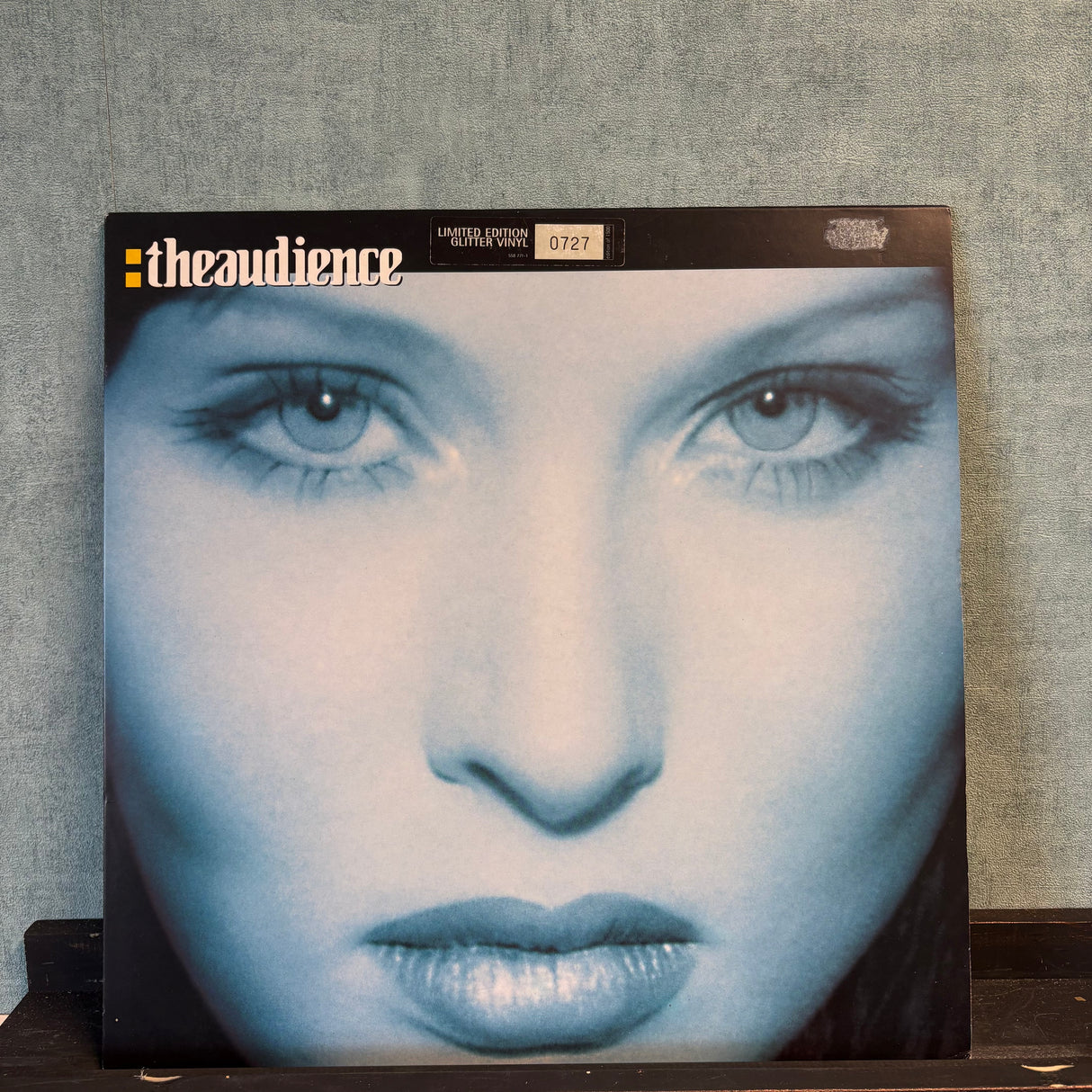 The Audience - The Audience - Limited Numbered Glitter VINYL