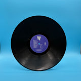 Now That's What I Call Music 22 Vinyl