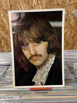 The Beatles - The Beatles (White Album) - Complete - Mono Low Number - VINYL