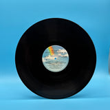 The Surfaris - Wipe Out The Singles 1963-1967 Vinyl