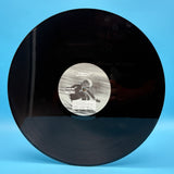 The Chemical Brothers - Loops of Fury 12" Vinyl Single