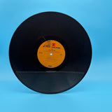 Nico - Desertshore Vinyl