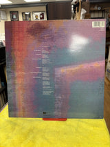 Pet Shop Boys - Disco - VINYL