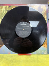 Pet Shop Boys - Disco - VINYL