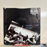 Metallica - Enter Sandman Picture Disc Vinyl
