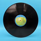 The Beatles - Blue Album Vinyl