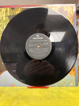 Pet Shop Boys - Disco - VINYL